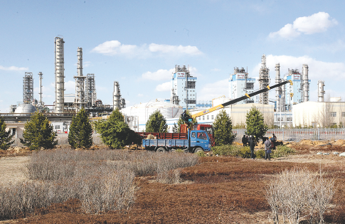 体育招新流程示意图